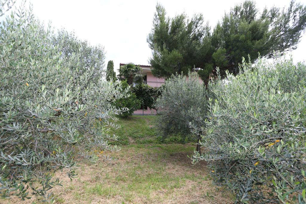 הוילה Sečovlje Mejak & Bordon מראה חיצוני תמונה