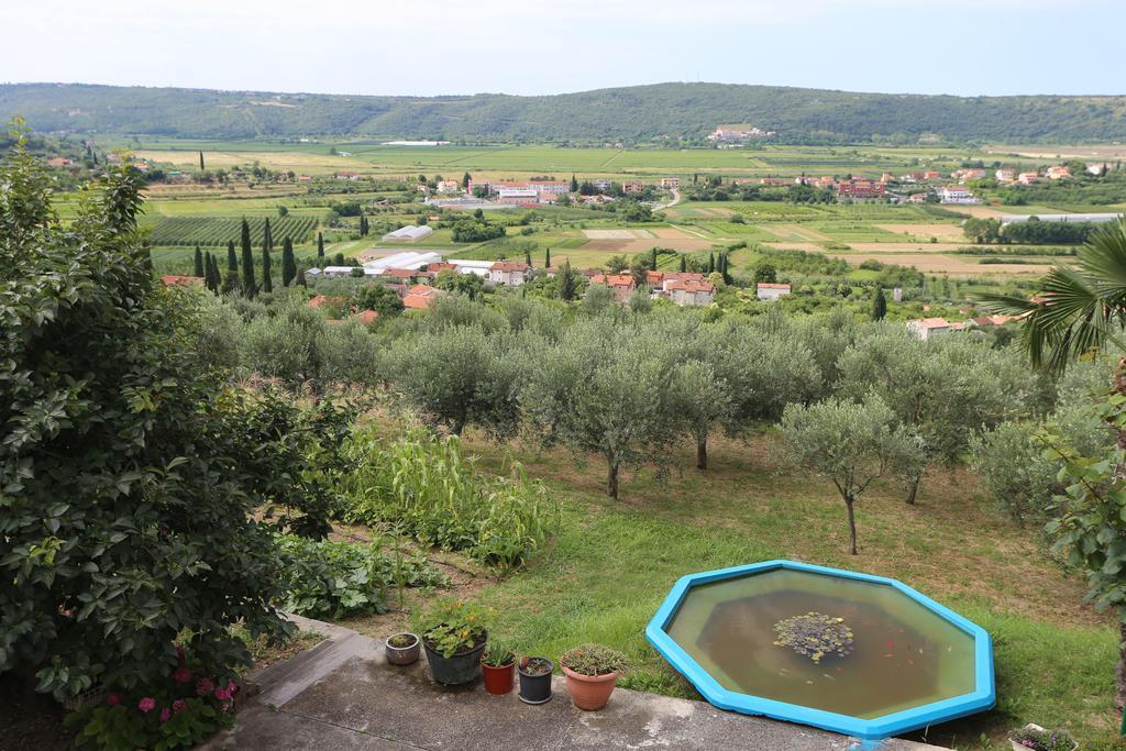 הוילה Sečovlje Mejak & Bordon מראה חיצוני תמונה